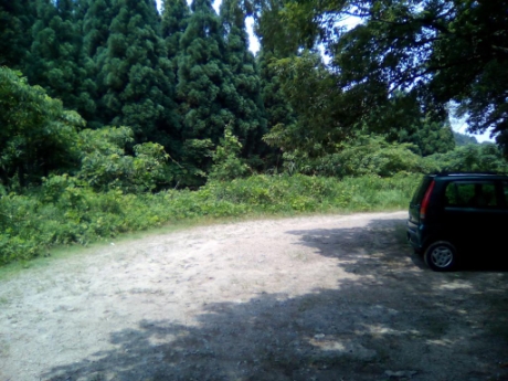 画像17